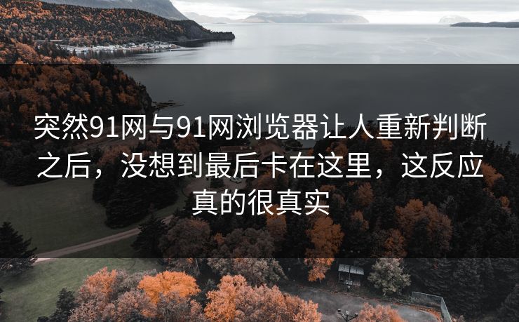 突然91网与91网浏览器让人重新判断之后，没想到最后卡在这里，这反应真的很真实
