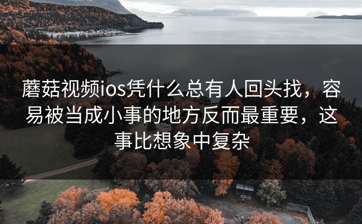蘑菇视频ios凭什么总有人回头找，容易被当成小事的地方反而最重要，这事比想象中复杂