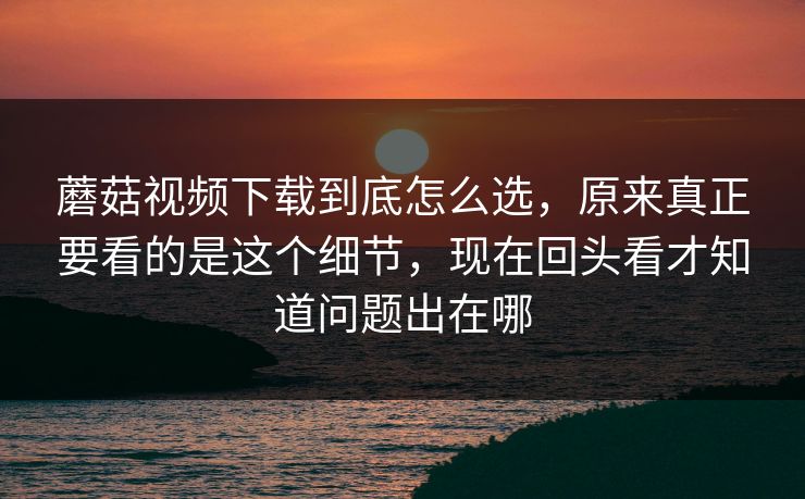 蘑菇视频下载到底怎么选，原来真正要看的是这个细节，现在回头看才知道问题出在哪