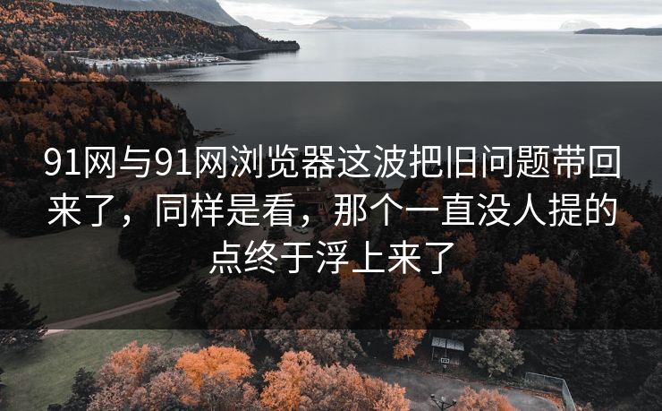 91网与91网浏览器这波把旧问题带回来了，同样是看，那个一直没人提的点终于浮上来了