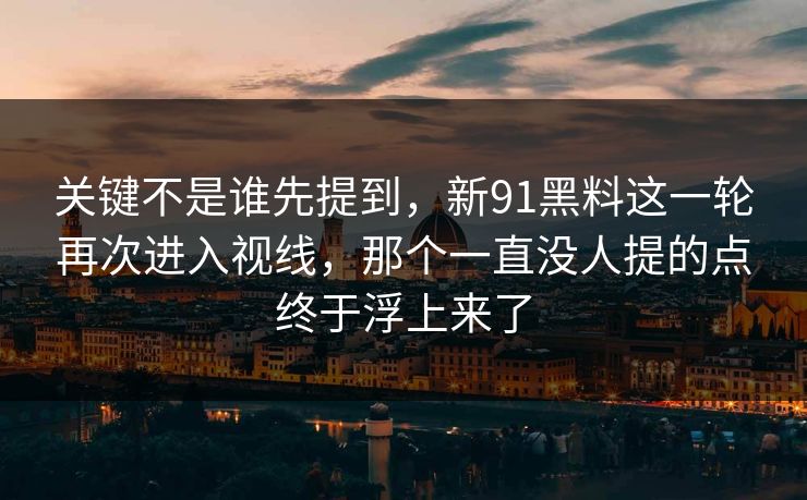 关键不是谁先提到，新91黑料这一轮再次进入视线，那个一直没人提的点终于浮上来了