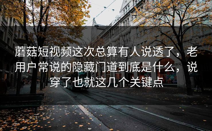 蘑菇短视频这次总算有人说透了，老用户常说的隐藏门道到底是什么，说穿了也就这几个关键点