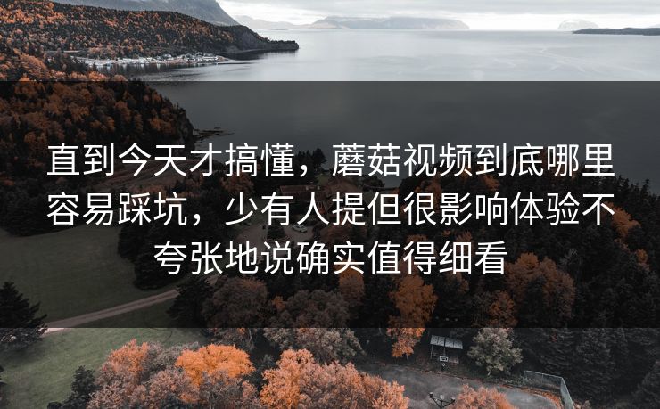 直到今天才搞懂，蘑菇视频到底哪里容易踩坑，少有人提但很影响体验不夸张地说确实值得细看