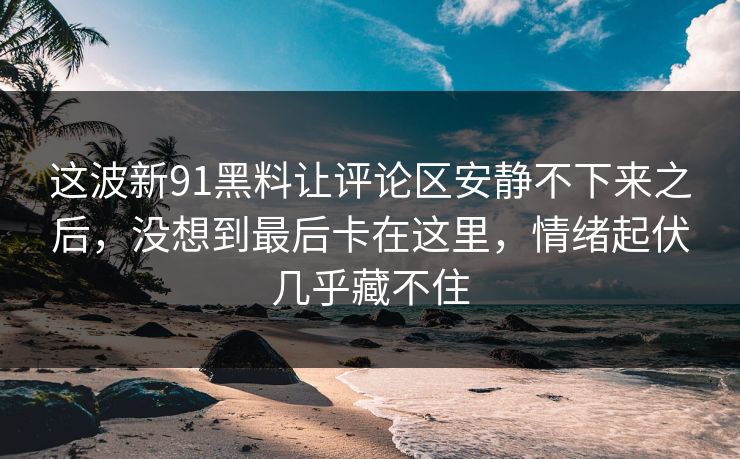 这波新91黑料让评论区安静不下来之后，没想到最后卡在这里，情绪起伏几乎藏不住