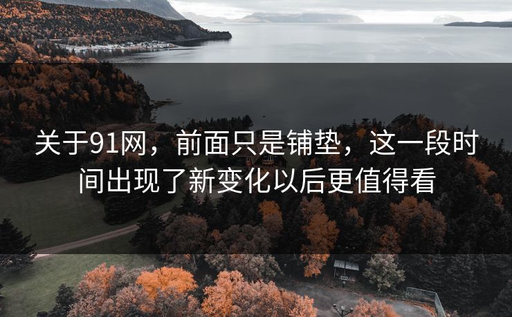 关于91网，前面只是铺垫，这一段时间出现了新变化以后更值得看