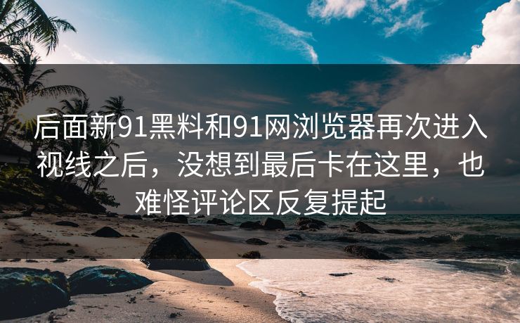 后面新91黑料和91网浏览器再次进入视线之后，没想到最后卡在这里，也难怪评论区反复提起